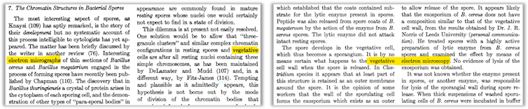 Excerpts from scanned papers show how incorrectly parsed column breaks lead to the term 'vegetative electron micro...' being introduced.